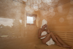 sauna2